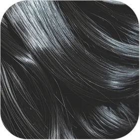 Editorial portrait: raven dark hair